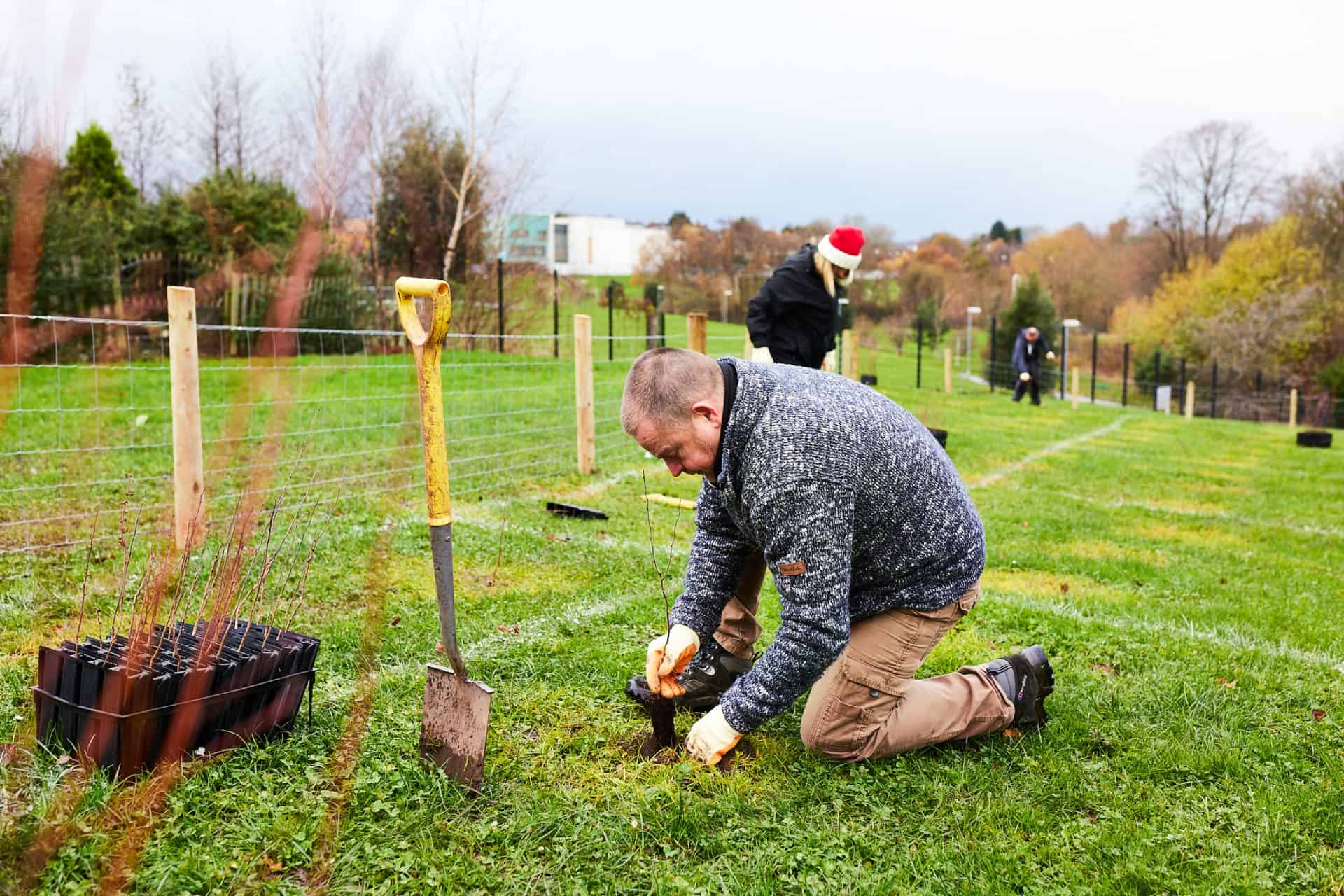 Willmott Dixon Interiors plant hundreds of trees in Leeds Willmott